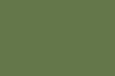 RAL 6025 (папоротниковый зеленый)